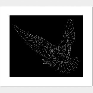 dark peregrine falcon ecopop Posters and Art